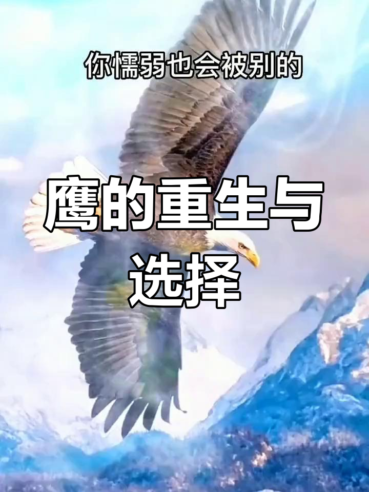 老鹰逆袭雄鹿,取得惊人的胜利 老鹰逆袭雄鹿,取得惊人的胜利